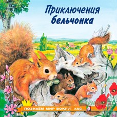 Приключения бельчонка - книга 1079176