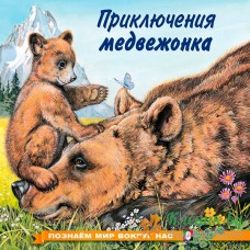 Приключения медвежонка - книга 9361775