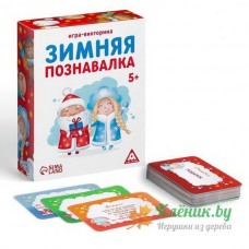 Игра-викторина «Зимняя познавалка», 55 карточек